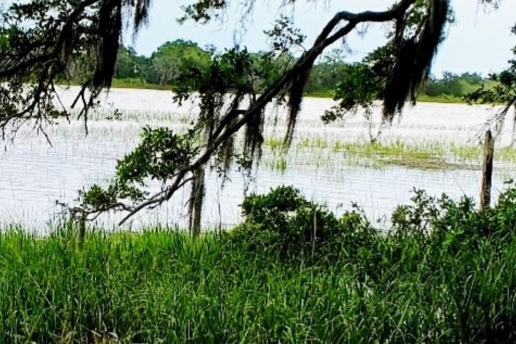 Secluded Tiny House By The Marsh With Hunting Island Beach Pass Frogmore Exterior foto