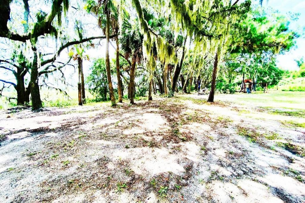 Secluded Tiny House By The Marsh With Hunting Island Beach Pass Frogmore Exterior foto